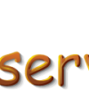 VA-service IVS